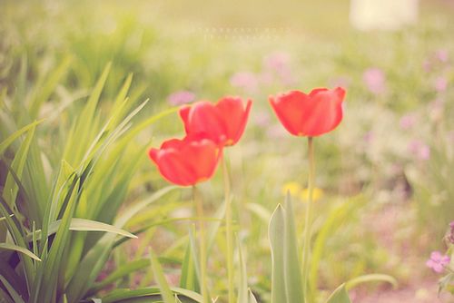 ����������¾��ã��������� (4)