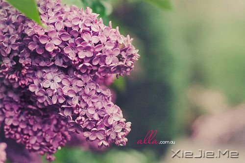 �����ھ;���ʧ��������δ����ôԶ�����ô�� (7)