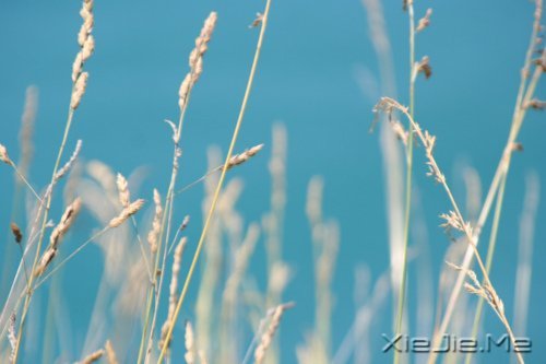 ��Ҫ�������ˣ���Ҫ����Լ� (7)