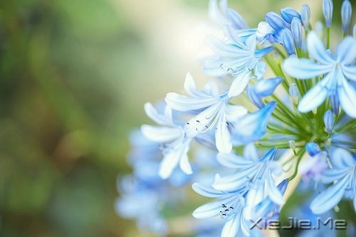 我不怕长大,而是怕你们老去 (4)