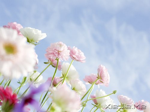 �����������ܿ�����ʵ���Լ� (7)