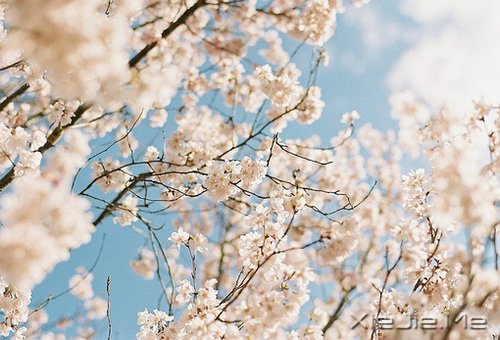 ��Ϊ֪�㣬���Ը��ӽ��Ҹ� (4)