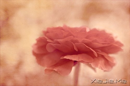 ��Ȼһ�У��������� (2)