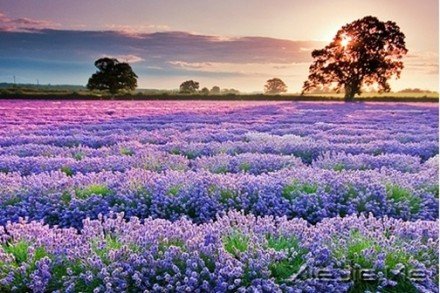 要替别人着想,但为自己而活 (2)