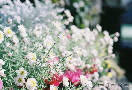 �Ҳ��������������������Լ� (6)