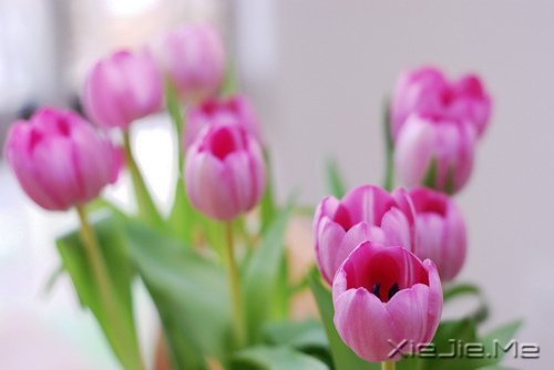 ������һ������ʵ��һ�������� (6)