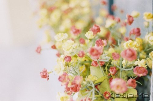 有人能让你痛苦,说明你的修行还不够 (6)