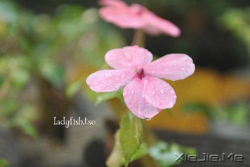 һ�����¹¶����������¹��� (5)