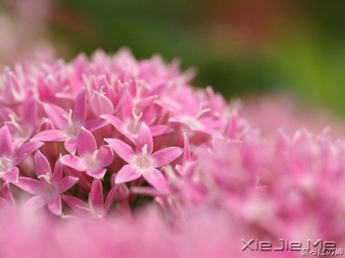 �簲����໰�Ȼ��Ըɾ�һǧ�� (2)