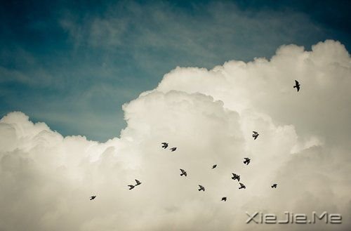 �簲���ֻҪ���룬��ʱ�����Կ�ʼ (8)