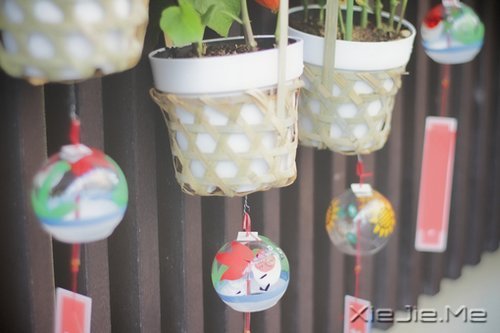 �簲����ں���̫�࣬���Լ�Ҳ������ĥ (9)