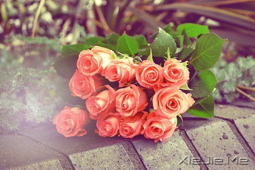 早安心语:做自己生命的主角,而不是别人生命中的看客 (7)