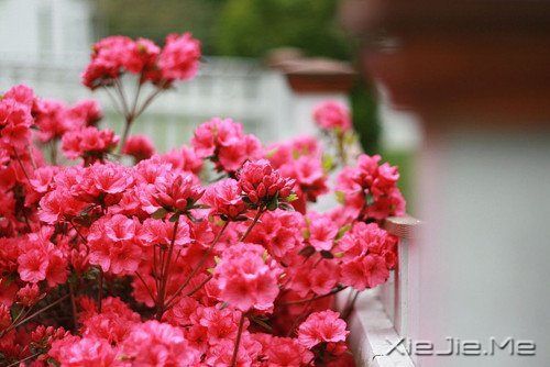 �簲�������ǰ�ߣ��㽫��Զͣ�� (8)