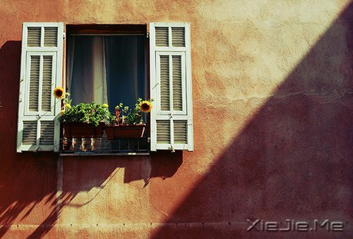 ���������������ڰ�����������ƻ� (3)