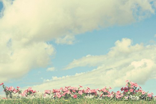 早安心语:生活中最大的幸福是坚信有人爱着我们 (2)