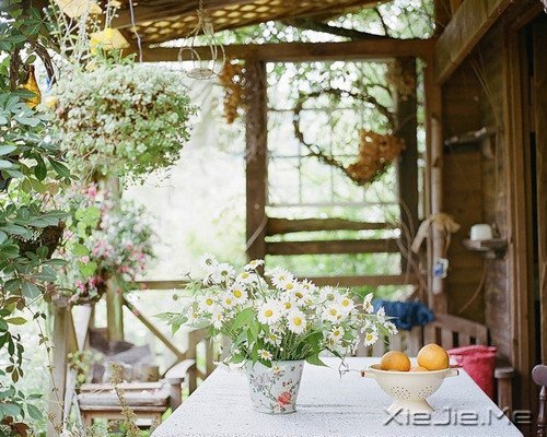 晚安心语:选择最淡的心事,诠释坎坷的人生 (5)