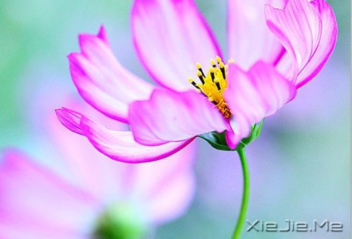 如果时间可以倒退,一切也就不再珍贵 (1)