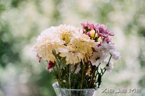 早安心语:收拾心情,重新上路 (10)