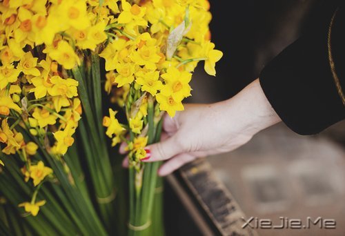 晚安心语:遇见,就是幸福 (7)