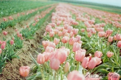 �簲�������Ҫ�ģ����¶������ (5)