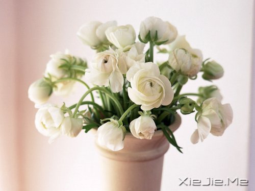 �簲�����Ȼһ�У��������� (3)