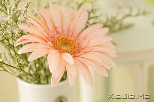 �簲���������������һ���˵����� (8)