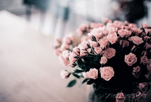 �������������������������� (2)