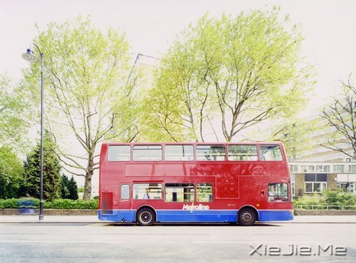 �簲����谮�Լ�����������Ҫ�� (10)