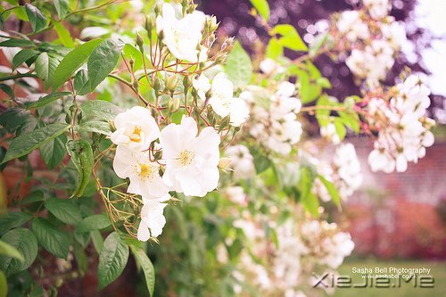 �������Ըϸˮ����ʱ��������� (3)