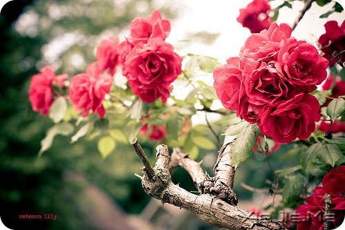 �������Ըϸˮ����ʱ��������� (4)