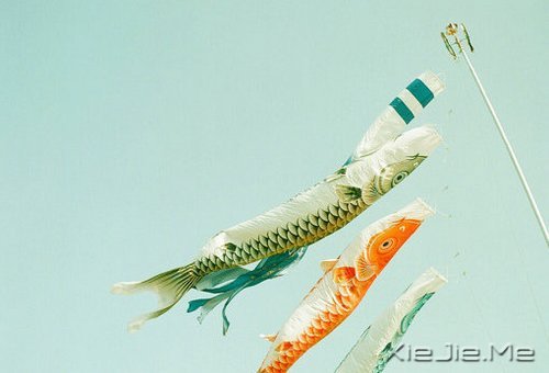 今天你所受的伤,只会让你明天更坚强 (4)