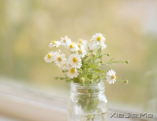 晚安心语:人不怕走在黑夜里,就怕心中没有阳光 (3)