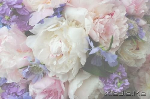 �������ֻҪ�������ڣ��ݳ���û����Ļ (10)