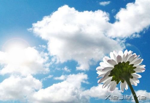 晚安心语:真正的泪水来自心底,眼睛只是一个小小的出口 (9)