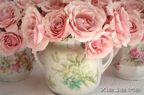 �����������ʱû�м���������Ǿ�����ͷ (6)