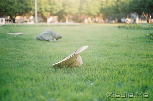 早安心语:成为自己想成为的人,这从来不迟 (4)