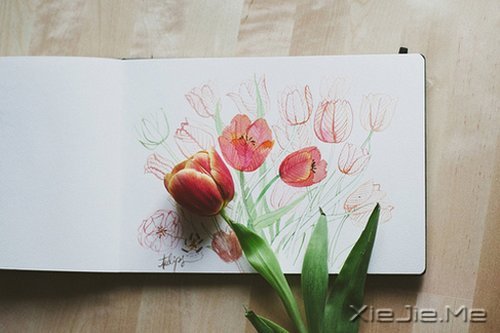 早安心语:安静,也是强大的力量 (5)