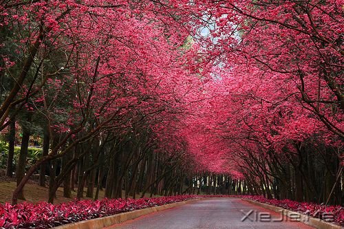 �簲���ͯ��δ������һ��ֵ�ý��������� (5)