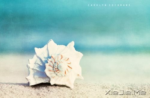 ����������ַſ�����õ�����һ�� (1)