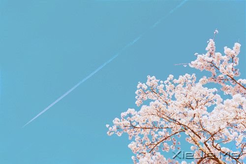 �簲���ֻҪ�����ߣ��ܻῴ������ (1)