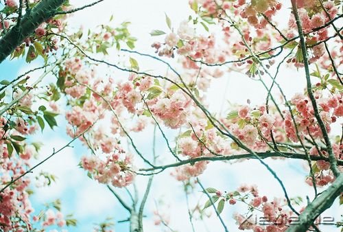 �����������������Ц����������ϧ (5)