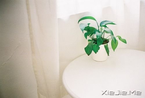 �簲����������ڱ��˵����������ʧ���Լ�����·�� (3)