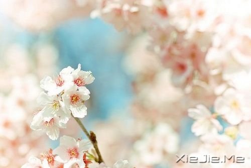 ���������Щ�����ʺ��������� (4)