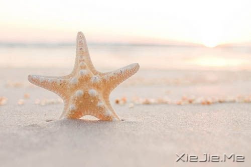 �簲�������ô�������죬���ܹ��ý��� (11)