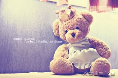 �簲������ɿ�����ӵ�е���һ�� (11)