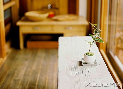 �簲����Ҹ������������Ӱ�� (4)