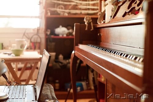 ����������ñ�������������ഺ (11)