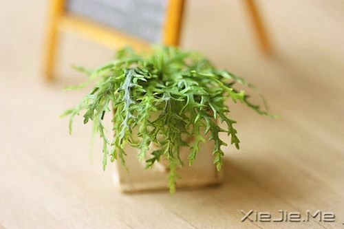 ������������Լ����ģ��������沨���� (1)