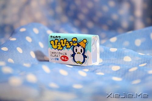 早安心语:其实,我们还是不想长大的孩子 (7)