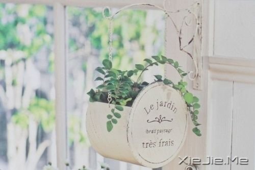 早安心语:做个生活的舞者 (9)